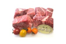「みかも牛」カレー・シチュー用600g【1257313】