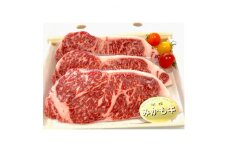 「みかも牛」ステーキ600g(200gx3枚)【1257328】