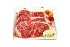 「みかも牛」ステーキ600g(200gx3枚)【1257328】