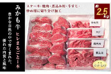 「みかも牛」ヒレまるごと1本(約2.5kg)【1257346】