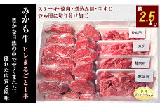 「みかも牛」ヒレまるごと1本(約2.5kg)【1257346】