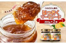 サニーバつかだ　つかださん家のはっさくマーマレード(200g×2個セット)【1292256】