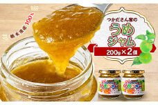 サニーバつかだ　つかださん家のうめジャム(200g×2個セット)【1292259】