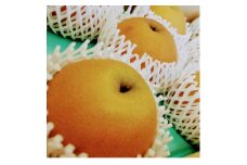 栃木県佐野市産　梨「にっこり」5～7玉入り(1玉 約700g～1,000g)【1356305】