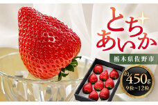 栃木県 いちご 新品種＜とちあいか＞ 9粒～12粒 約450g【1258710】