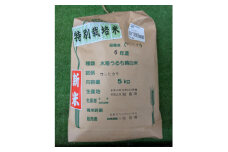 令和6年収穫　栃木県佐野市産コシヒカリ 5kg【1356397】