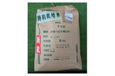 令和6年収穫　栃木県佐野市産コシヒカリ 5kg【1356397】