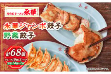 佐野餃子(大)10個2人前×2パックと佐野餃子(中)24個4人前×2袋_ 餃子 ぎょうざ 佐野餃子 野菜餃子 栃木県 佐野 おつまみ おかず 人気 おすすめ 送料無料 贈答 ギフト 冷凍 【1061577】