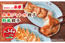 ＜佐野餃子(大)10個2人前＞と＜佐野餃子(中)野菜餃子24個4人前＞_ 餃子 ぎょうざ 佐野餃子 野菜餃子 栃木県 佐野 おつまみ おかず 人気 おすすめ 送料無料 贈答 ギフト 冷凍 【1061582】