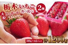 豪華!栃木イチゴ2種(スカイベリー・とちあいか)大粒 食べ比べセット (300g×4パック)_ いちご 苺 フルーツ 果物 くだもの スカイベリー とちあいか 栃木 2種 セット 人気 おすすめ 送料無料 ギフト 贈答 食べ比べ 【1366949】