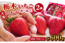 豪華!栃木イチゴ2種(スカイベリー・とちあいか)大粒 食べ比べセット(300g×2パック)_ いちご 苺 果物 フルーツ くだもの スカイベリー とちあいか 大粒 食べ比べ セット 人気 おすすめ 送料無料 贈答 ギフト 【1366974】