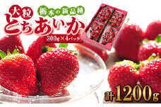 ルビーの輝き!!いちご王国栃木の新品種　大粒『とちあいか』(300g×4パック)_ いちご 苺 フルーツ 果物 くだもの とちあいか 栃木 新品種 人気 おすすめ 送料無料 ギフト 贈答 4パック 【1383194】