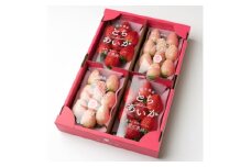 紅白イチゴ(とちあいか、ミルキーベリー)大粒 詰め合わせ(300g×4パック)【1383420】