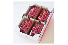 香りと酸味が魅力!!日本の定番『とちおとめ』　(260g×4パック)【1386436】