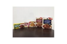 ハウス食品カレー・ハヤシ・レトルトカレーセットB-1【1385273】