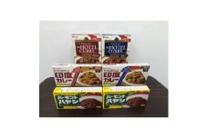 ハウス食品カレー・ハヤシ・レトルトカレーセットD-1【1385289】