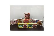 ハウス食品カレー・ハヤシ・レトルトカレーセットD-2【1385290】