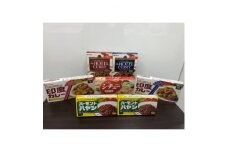 ハウス食品カレー・ハヤシ・レトルトカレーセットE-1【1385298】