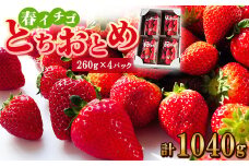 春イチゴ『とちおとめ』(260g×4パック)【1389986】