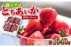 ＜春イチゴ＞『とちあいか』(260g×4パック)【1389987】