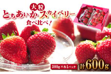 ＜春イチゴ＞ 食べ比べ!大粒『スカイベリー』、『とちあいか』300g×1パックずつ【1290960】