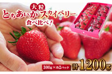 ＜春イチゴ＞ 食べ比べ!大粒『スカイベリー』、『とちあいか』300g×2パックずつ【1291781】