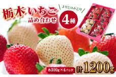 ＜春いちご ＞栃木のいちご4種詰め合わせセット!(300g×4パック)【1290961】