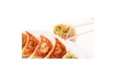 佐野ブランド認証品 らーめん大金の国産野菜がギュッと詰まった大ぶりの手作り冷凍餃子　12粒×2パック【1421597】