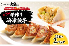 佐野ブランド認証品 らーめん大金の国産野菜がギュッと詰まった大ぶりの手作り冷凍餃子　12粒×2パック【1421597】