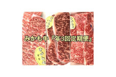 ＜発送月固定定期便＞＜2024年2月発送開始＞みかも牛「定期便　4ヶ月ごと3回コース」全3回【4003497】