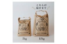 農家直送!ホタルのいる里山で作ったコシヒカリ10kg(精米)【1452310】