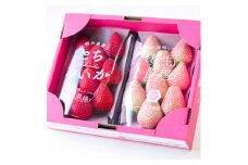 紅白いちご(とちあいか、ミルキーベリー)大粒 詰め合わせ(300g×1パックずつ)【1484008】