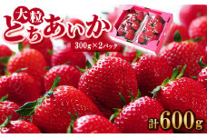 ＜春イチゴ＞ 大粒『とちあいか』(300g×2パック)【1284042】