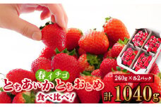 いちご生産量日本一栃木産　春イチゴ『とちおとめ』『とちあいか』 (260g×4パック)食べ比べセット_ いちご 苺 とちおとめ とちあいか セット 食べ比べ 人気 おすすめ 送料無料 贈答 ギフト 栃木 佐野 冷蔵 春いちご 【1489767】