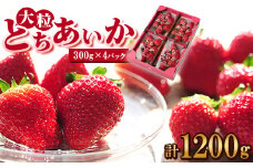 いちご生産量日本一栃木県産＜春いちご＞大粒『とちあいか』(300g×4パック)_ いちご 苺 とちあいか 大粒 食べ比べ 人気 おすすめ 送料無料 贈答 ギフト 栃木 佐野 冷蔵 春いちご 【1495823】