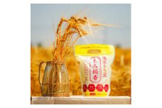 国産もち麦 もち絹香の2個セット(100g×14袋入り×2個)【1526218】