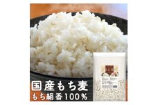 栃木県産もち絹香 800g×5袋【1559028】