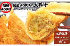 麺屋ようすけ大餃子10個入り×4袋【1645303】