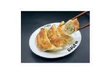 麺屋ようすけ大餃子10個入り×8袋【1645306】