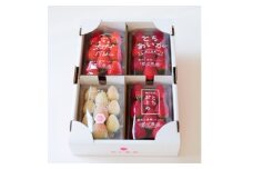 粒一杯!栃木いちご4種詰め合わせセット(260g×4パック)【1642089】