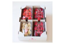 粒一杯!栃木いちご4種詰め合わせセット(260g×4パック)【1642089】