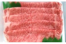 とちぎ和牛 すき焼き用 （肩ロース600g） 牛肉 お肉 グランプリ 受賞牛 極上 お届け：入金確認後14日～1ヶ月[№5840-1264]