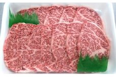 とちぎ和牛 焼肉用 （バラ肉600ｇ） 牛肉 お肉 グランプリ 受賞牛 極上 お届け：入金確認後14日～1ヶ月[№5840-1265]