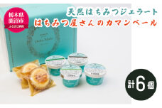 天然はちみつ ジェラート と はちみつ屋さん の カマンベール（ジェラート等6個） スイーツ お菓子 アイス シャーベット お菓子 ケーキ タルト ※北海道・沖縄・離島への配送不可