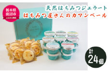 天然はちみつ ジェラート と はちみつ屋さん の カマンベール（ジェラート等24個） スイーツ お菓子 アイス シャーベット お菓子 ケーキ タルト ※北海道・沖縄・離島への配送不可