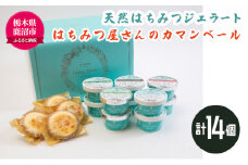 天然はちみつ ジェラート と はちみつ屋さん の カマンベール（ジェラート等14個）  スイーツ お菓子 アイス シャーベット お菓子 ケーキ タルト ※北海道・沖縄・離島への配送不可