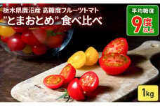 栃木県 鹿沼産 高糖度 フルーツトマト ”とまおとめ” 食べ比べ 1kg  トマト カキヌマファーム アイコ フルティカ アルル イエローアイコ 濃厚 入手困難 贈り物 栃木県 鹿沼市　※2024年12月下旬～2025年6月中旬頃に順次発送予定