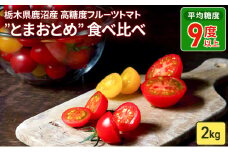 栃木県 鹿沼産 高糖度 フルーツトマト ”とまおとめ” 食べ比べ 2kg  トマト カキヌマファーム アイコ フルティカ アルル イエローアイコ 濃厚 入手困難 贈り物 栃木県 鹿沼市　※2024年12月下旬～2025年6月中旬頃に順次発送予定