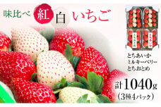 【先行予約】味くらべ紅白いちご 3種 4パック （3～5月発送）【家計応援】 いちご 果物 フルーツ 苺 イチゴ くだもの とちあいか ミルキーベリー とちおとめ 朝取り 新鮮 美味しい 甘い ※2026年3月上旬～5月中旬頃に順次発送予定