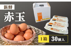 アスタキサンチンたまごちゃん 10個入り×3パック 卵 鶏卵 アスタキサンチン 抗酸化パワー [№5840-2379]